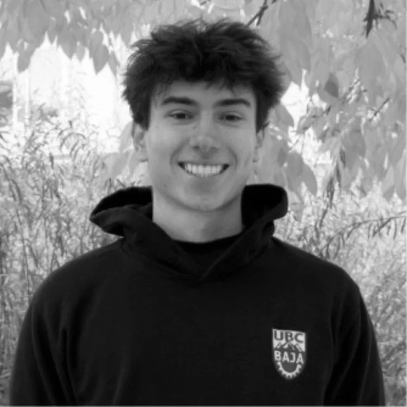Alek